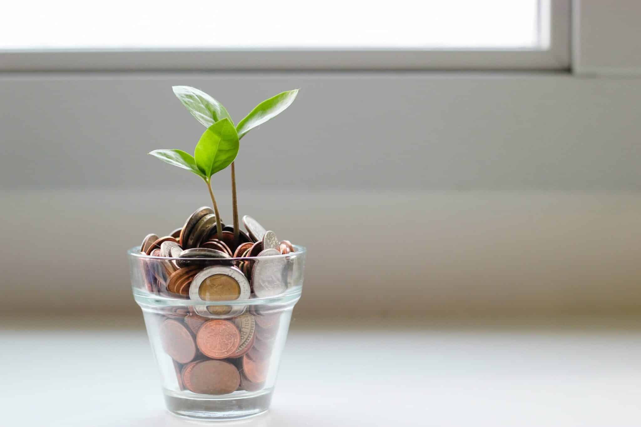 Pot of coins with a plant growing out the top